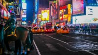 Times Square Police Horse